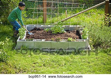 boy tending small raised garden bed View Large Photo Image Picture - boy tending small raised garden bed. Fotosearch