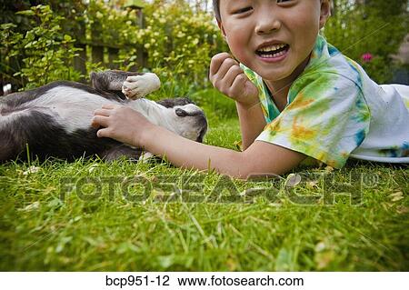 boy tickling dog's belly View Large Photo Image Stock Image - boy tickling dog's belly. Fotosearch