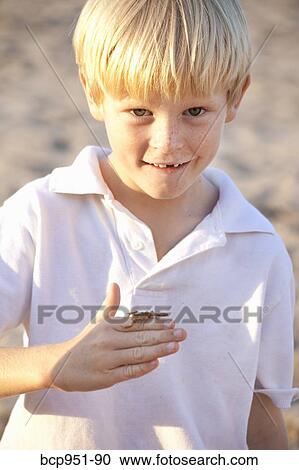 boy with scorpion on hand View Large Photo Image Stock Image - boy with scorpion on hand. Fotosearch