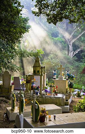 cemetery in mexico View Large Photo Image Stock Image - cemetery in mexico. Fotosearch