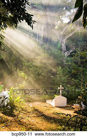 cemetery in mexico View Large Photo Image Stock Image - cemetery in mexico. Fotosearch
