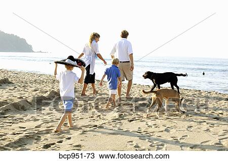 family walking on beach with dogs View Large Photo Image Stock Image - family walking on beach with dogs. Fotosearch