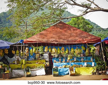 fruit stand in manzanillo, colima, mexico View Large Photo Image Stock Image - fruit stand in manzanillo, colima, mexico. Fotosearch