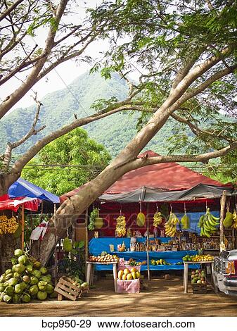 fruit stand in manzanillo, colima, mexico View Large Photo Image Stock Photo - fruit stand in manzanillo, colima, mexico. Fotosearch