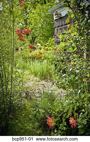 garden next to house View Large Photo Image Stock Image - garden next to house. Fotosearch