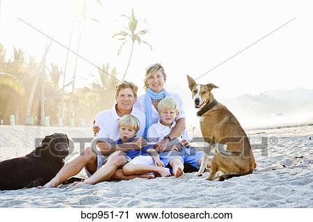 portrait of family on beach with dogs View Large Photo Image Stock Image - portrait of family on beach with dogs. Fotosearch