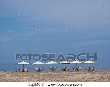 row of beach chairs and umbrellas View Large Photo Image Picture - row of beach chairs and umbrellas. Fotosearch