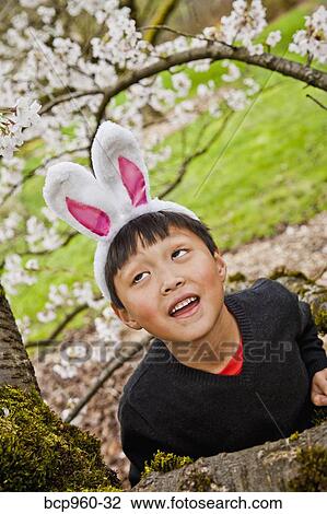 Boy wearing bunny ears View Large Photo Image Stock Image - Boy wearing bunny ears. Fotosearch