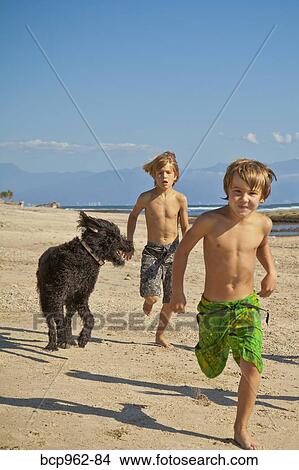 Children running on beach with dog View Large Photo Image Picture - Children running on beach with dog. Fotosearch