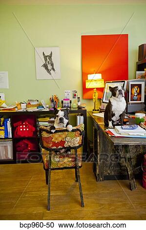 Stock Image - Dogs sitting at home office desk. Fotosearch