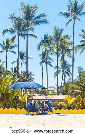 Guitars placed in beach chairs under palm trees and umbrella View Large Photo Image Stock Photo - Guitars placed in beach chairs under palm trees and umbrella. Fotosearch