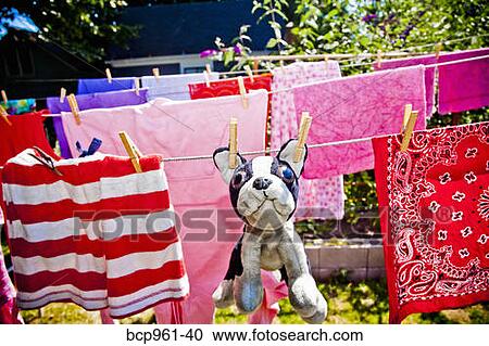 Stock Image - Laundry and stuffed dog hanging on outdoor lines. Fotosearch