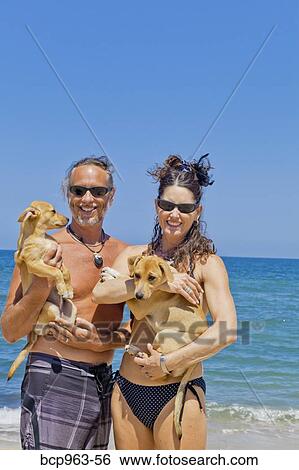 swimsuits for small dogs