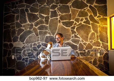 Man seated at long table with laptop and dog View Large Photo Image Stock Photo - Man seated at long table with laptop and dog. Fotosearch