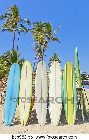 Stock Photography - Row of surf boards on beach in Mexico. Fotosearch