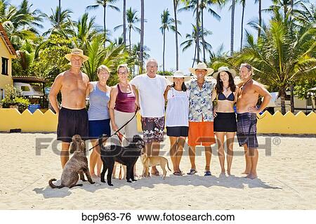 Seven adults standing on beach with dogs near palm trees View Large Photo Image Stock Photograph - Seven adults standing on beach with dogs near palm trees. Fotosearch