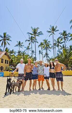 Stock Photography - Seven adults standing on beach with dogs near palm trees. Fotosearch