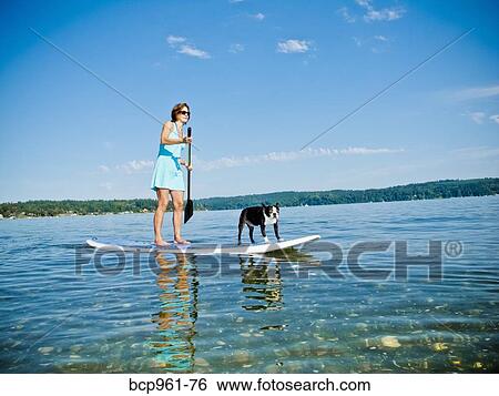 Stock Photograph - Woman on paddle board with dog. Fotosearch
