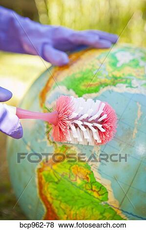 Woman wearing rubber gloves to scrub globe outdoors View Large Photo Image Stock Photo - Woman wearing rubber gloves to scrub globe outdoors. Fotosearch