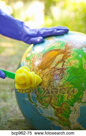 Stock Photography - Woman wearing rubber gloves to scrub globe outdoors. Fotosearch