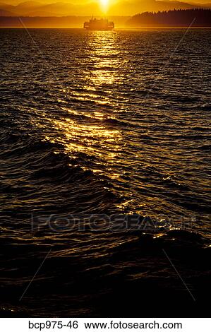 Ferry on puget sound at sunset View Large Photo Image Stock Photograph - Ferry on puget sound at sunset. Fotosearch
