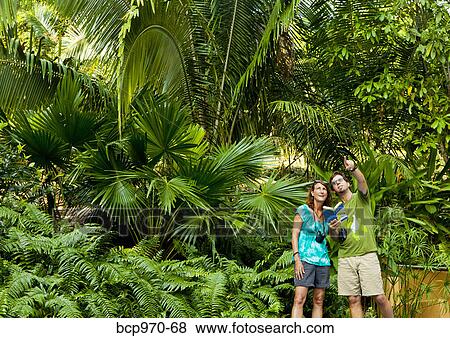 Man and woman bird watching in jungle View Large Photo Image Stock Photo - Man and woman bird watching in jungle. Fotosearch