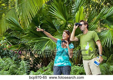 Man and woman bird watching in jungle View Large Photo Image Stock Photography - Man and woman bird watching in jungle. Fotosearch