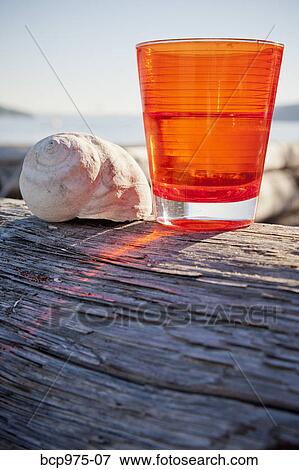 Orange cup on driftwood log View Large Photo Image Stock Photo - Orange cup on driftwood log. Fotosearch