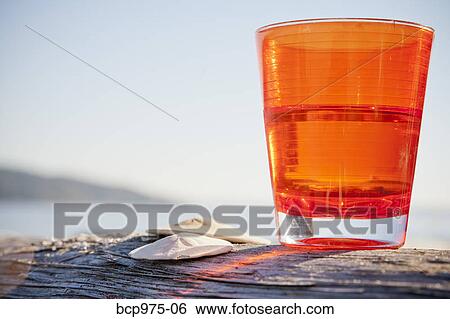 Orange cup on driftwood log View Large Photo Image Stock Photograph - Orange cup on driftwood log. Fotosearch