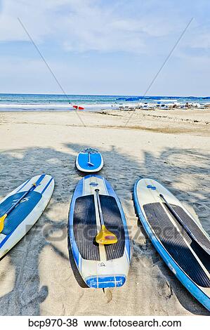Row of paddle boards on beach View Large Photo Image Stock Photo - Row of paddle boards on beach. Fotosearch