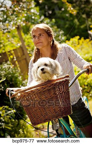 Stock Photo - Teen girl on bike with dog in basket. Fotosearch
