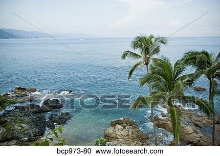View from bluff of beach at sayulita View Large Photo Image Stock Image - View from bluff of beach at sayulita. Fotosearch