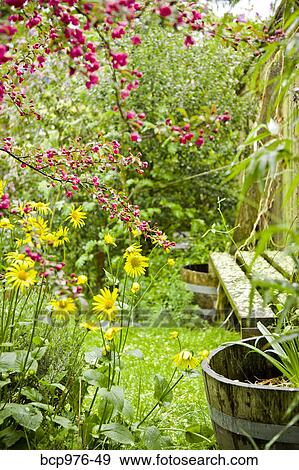 Stock Photo - View of backyard garden. Fotosearch