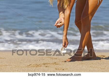 Woman beachcombing for shells View Large Photo Image Stock Photography - Woman beachcombing for shells. Fotosearch