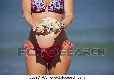 Woman in bikini holding shells View Large Photo Image Stock Image - Woman in bikini holding shells. Fotosearch