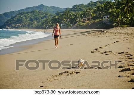 Woman walking on beach toward seashell View Large Photo Image Stock Image - Woman walking on beach toward seashell. Fotosearch