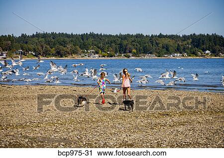 Stock Image - Young girls chasing gulls on beach. Fotosearch
