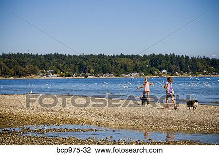 Young girls chasing gulls on beach View Large Photo Image Stock Image - Young girls chasing gulls on beach. Fotosearch