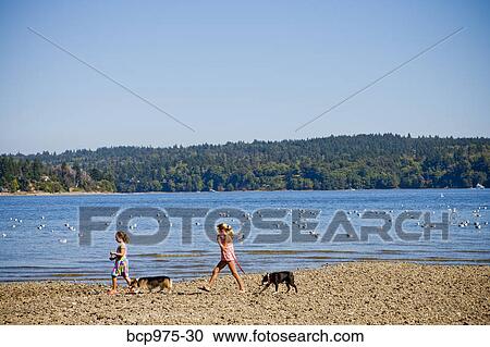 Young girls walking dogs on beach View Large Photo Image Stock Image - Young girls walking dogs on beach. Fotosearch