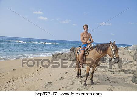 Young man riding horse on beach View Large Photo Image Stock Photo - Young man riding horse on beach. Fotosearch