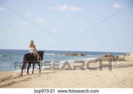 Stock Image - Young woman riding horse on beach. Fotosearch