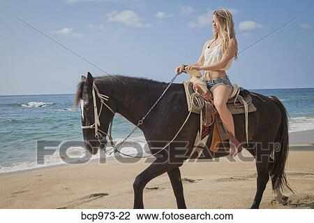 Young woman riding horse on beach View Large Photo Image Stock Image - Young woman riding horse on beach. Fotosearch