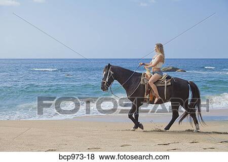 Stock Photo - Young woman riding horse on beach. Fotosearch