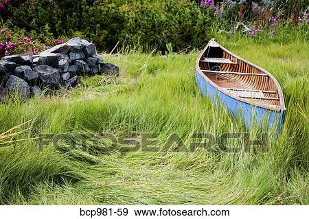 Blue canoe resting in tall grass View Large Photo Image Stock Photo - Blue canoe resting in tall grass. Fotosearch