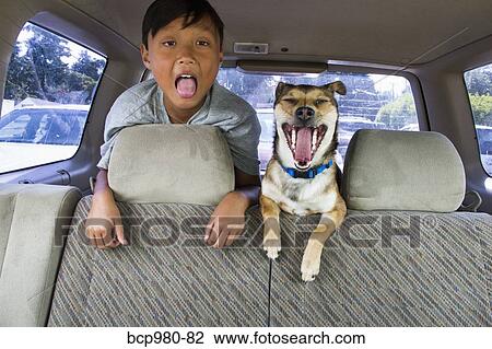 Child and his dog with their mouths open in the backseat of a car View Large Photo Image Stock Image - Child and his dog with their mouths open in the backseat of a car. Fotosearch