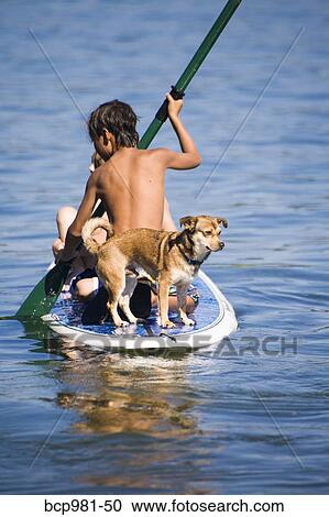 Stock Image - Children and a dog on a paddle board. Fotosearch