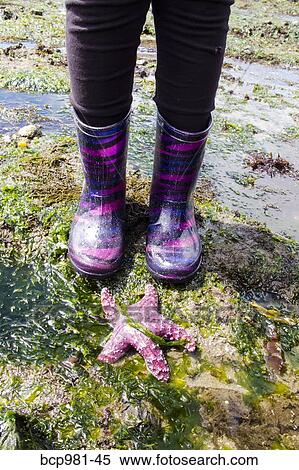 Child's feet in boots standing by a sea star View Large Photo Image Stock Photography - Child's feet in boots standing by a sea star. Fotosearch