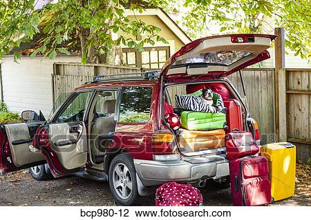 Stock Image - Dog sits atop luggage piled into a packed car. Fotosearch