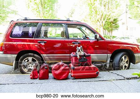 Stock Image - Dog sits on a pile of luggage in front of a car. Fotosearch