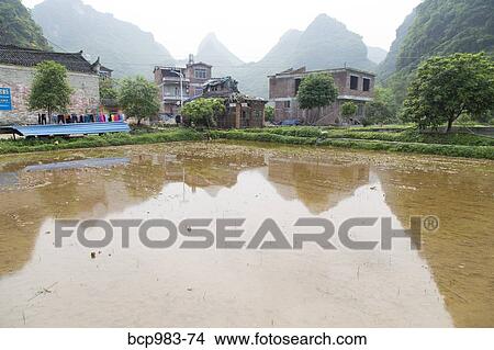 "Karst mountains and temple reflected in a village rice paddy, Yangshuo, China" View Large Photo Image Picture - "Karst mountains and temple reflected in a village rice paddy, Yangshuo, China". Fotosearch